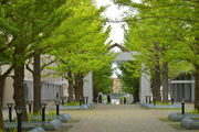首都大学東京