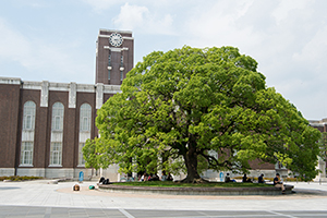 京都大学