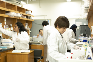 iCeMSには世界各国から優秀な若手研究者が集う