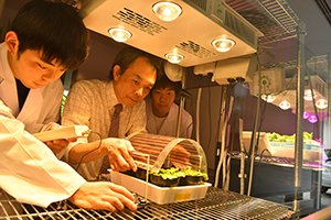 工学部機械電気工学科　渡邊 康之 教授