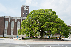 京都大学