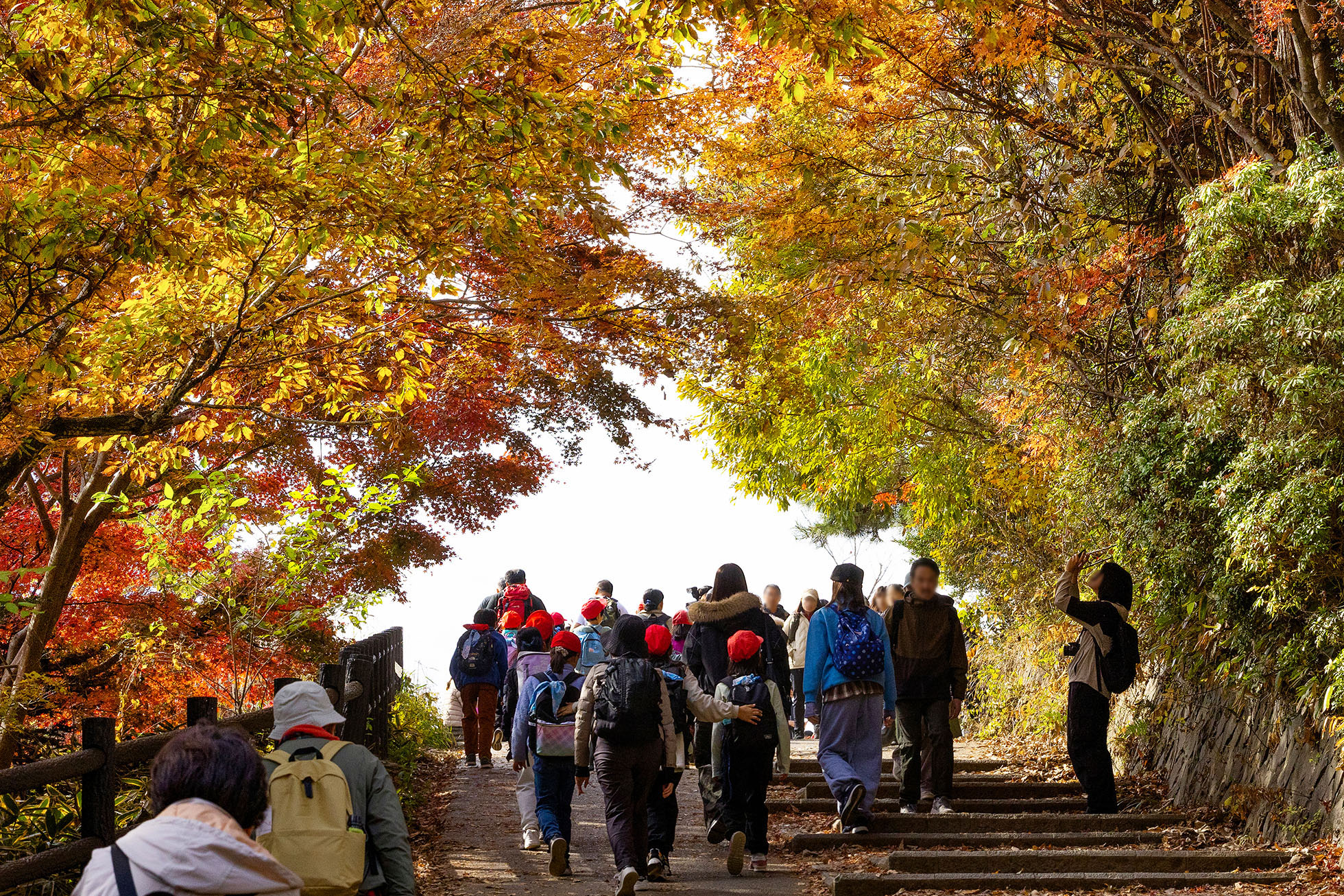 Near the summit of Mount Takao in Hachioji, elementary school students were climbing the mountain on a field trip.