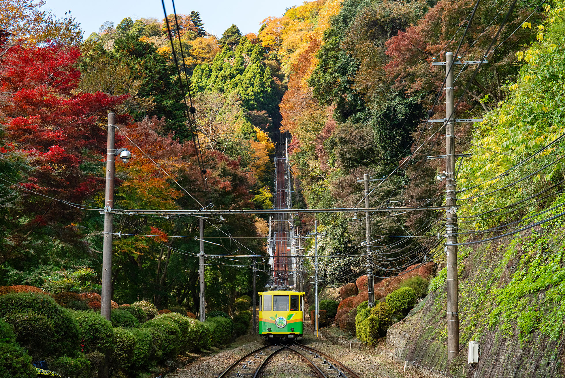 The view from the Mount Takao cable car. The autumn leaves had turned red and yellow.