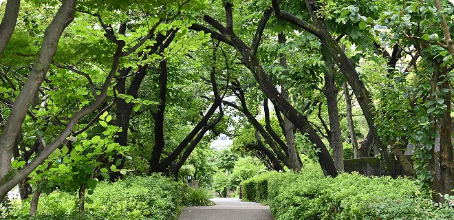朝日新聞東京本社の庭園の風景