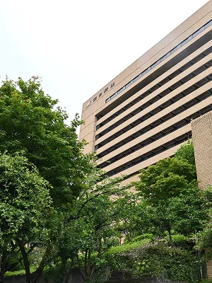 朝日新聞東京本社内の庭園から見た社屋ビルの外観